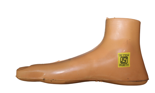 IMG_0210-PhotoRoom.png-PhotoRoom